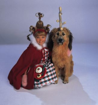A Dog Named Christmas Does The Dog Die A Dog Named Christmas Does The Dog Die